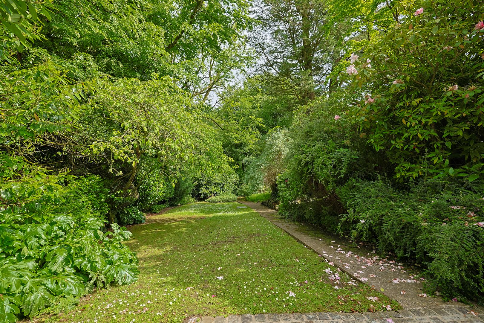 325 Gower Road, Killay, Swansea, SA2 7AE